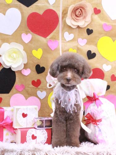 20230221きょうのちゃん